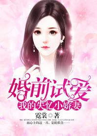 婚前试爱 我的失忆小娇妻