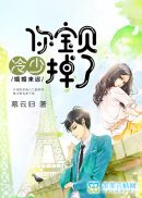 冷先生的宝贝妻