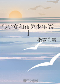 狼少女和夜兔少年[综]