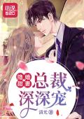隐婚甜妻：总裁，深深宠