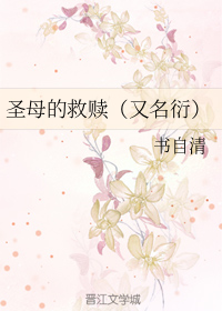 圣母的救赎+番外