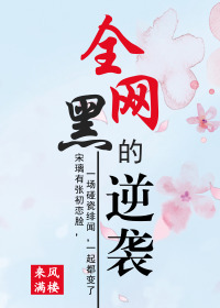 全网黑的逆袭