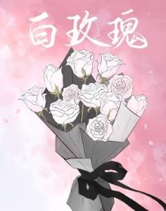 白玫瑰【CP完结】