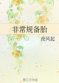 非常规备胎