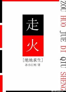 走火[绝地求生]