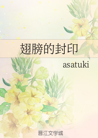 翅膀的封印