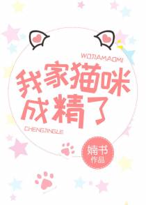 我家喵咪成精了（上）