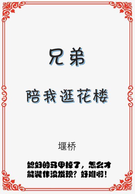 兄弟陪我逛花楼