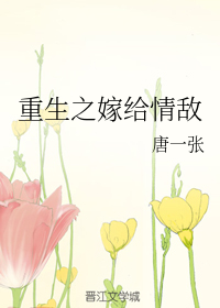 重生之嫁给情敌