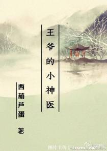 王爷的小神医