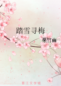 踏雪寻梅（下）