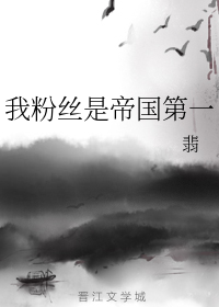 我粉丝是帝国第一