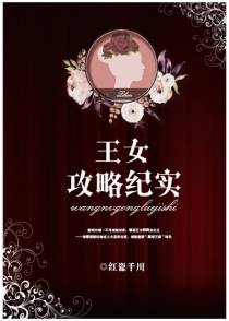 王女攻略纪实