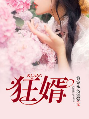 狂婿