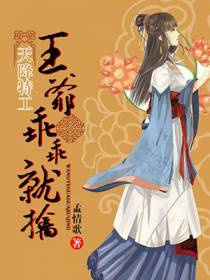 天降特工：王爷，乖乖就擒