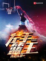 左手篮王