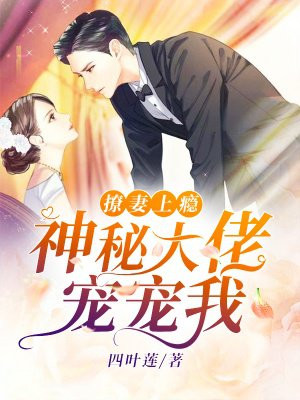 撩妻上瘾：神秘大佬，宠宠我