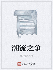 潮流之争