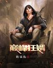 巅峰狂婿