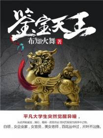 鉴宝天王