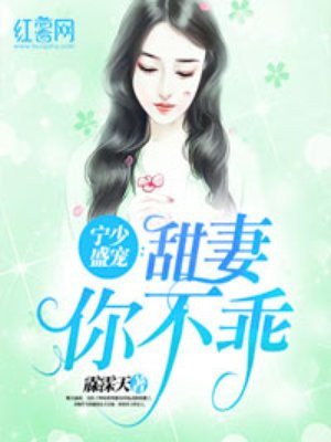 宁少盛宠：甜妻你不乖