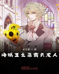 海贼王之恶霸天龙人