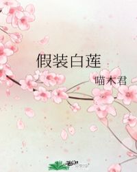 假装白莲