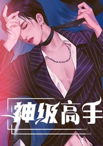 神级高手陆轩