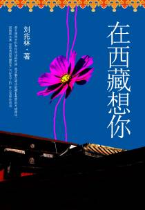 在西藏想你