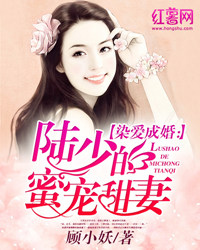 顾晚陆东晟小说名字