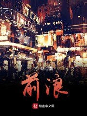 主角彭向明的小说