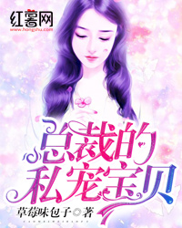 主角叫叶寒苏洛晴的小说