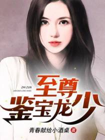 至尊鉴宝龙少