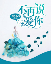 不再说爱你宁染