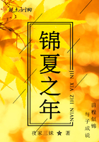 锦夏之年