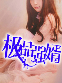 极品强婿