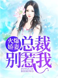 总裁别惹我宋诗言殷皓明