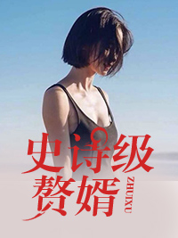 赘婿叶冷