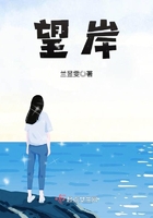望岸