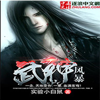武神风暴
