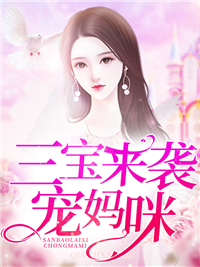 三宝来袭宠妈咪苏筠音霍衍深
