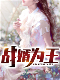 战婿为王唐广叶婉