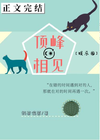 顶峰相见[娱乐圈]