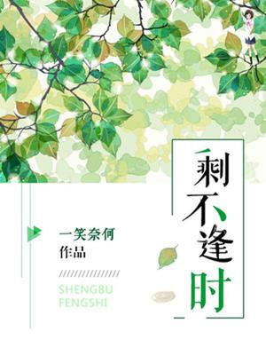 剩不逢时
