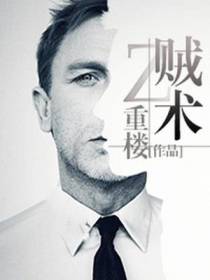 贼术