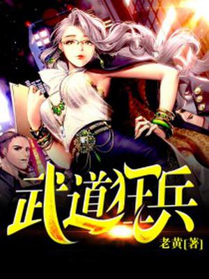 武道狂兵陈锋