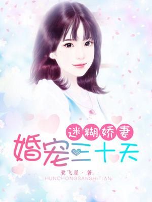 迷糊娇妻：婚宠三十天