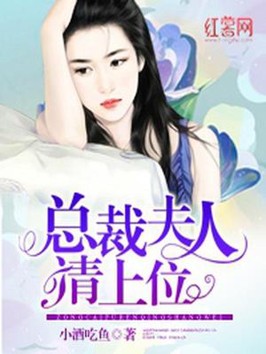 封景年夏安
