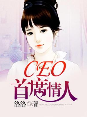 CEO首席情人