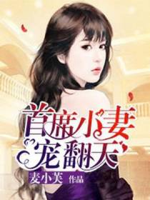首席小妻宠翻天